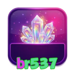 br537